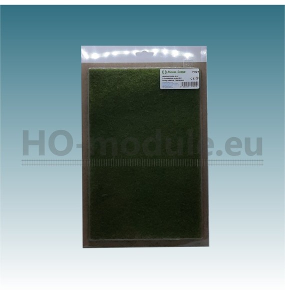 Nesečená louka jarní