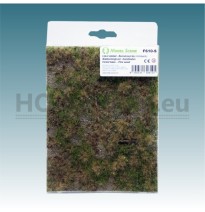 Lesní základ – borovicový les – minipack