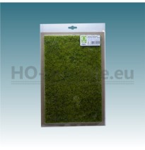 Kvetoucí louka – jarní