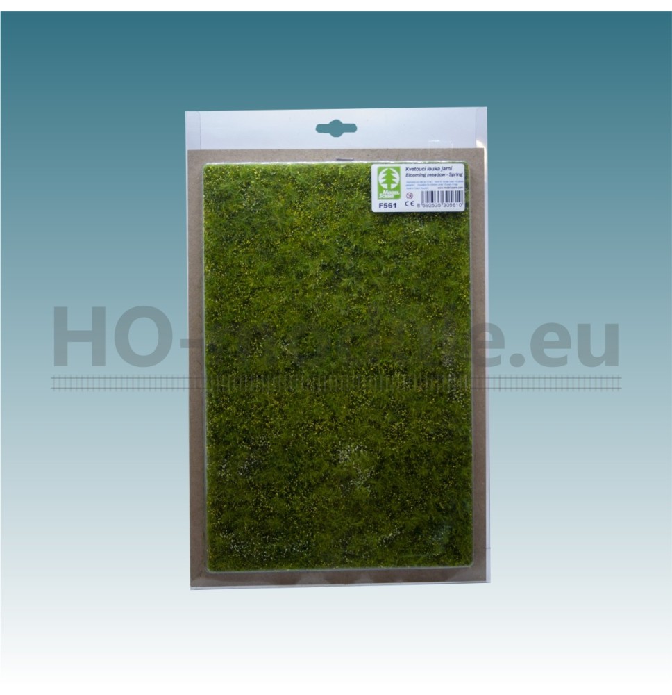 Kvetoucí louka – jarní