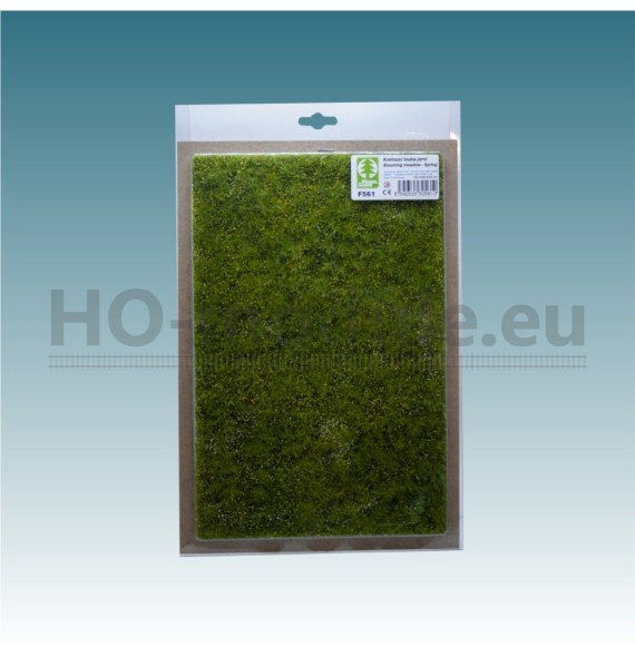 Kvetoucí louka – jarní