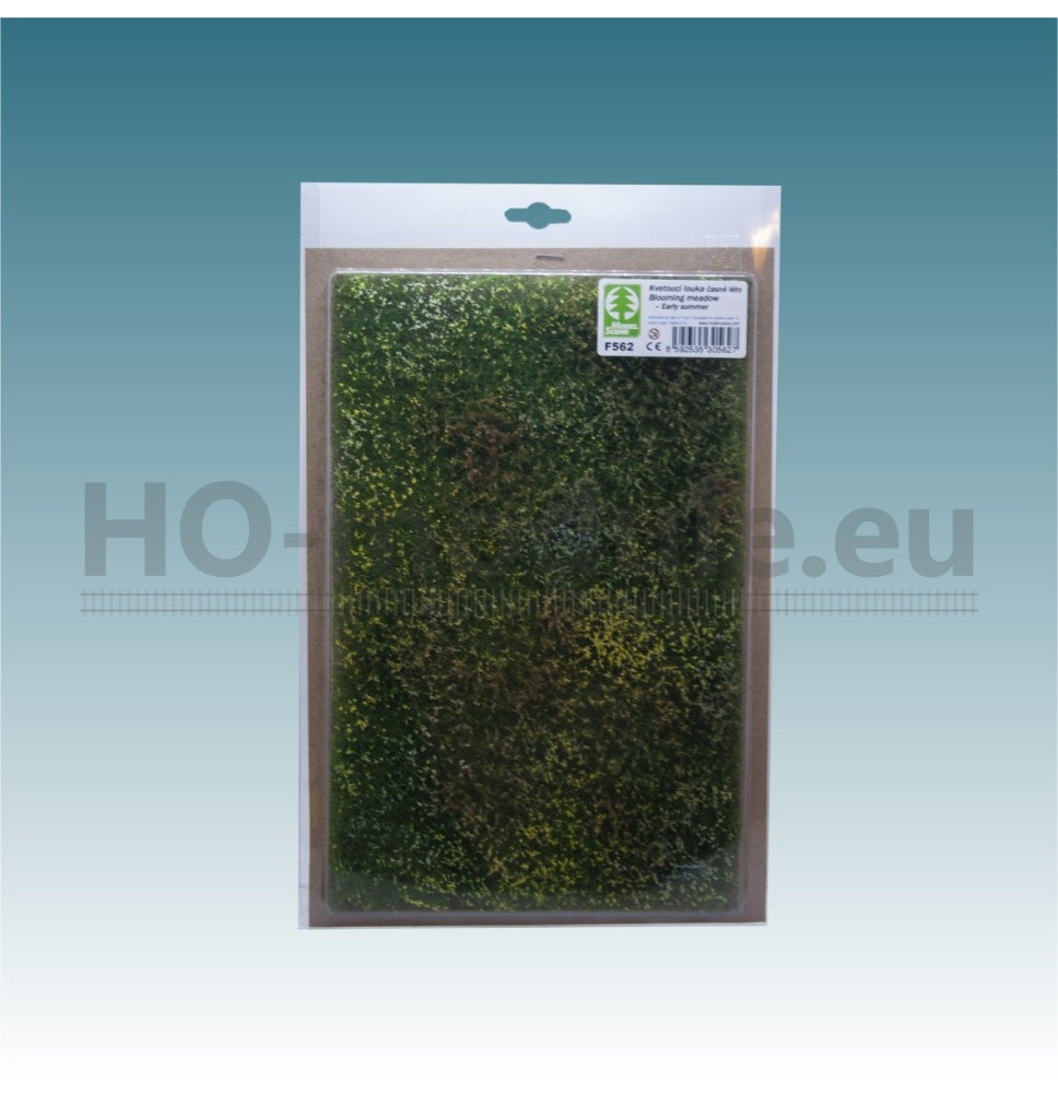 Kvetoucí louka – časné léto