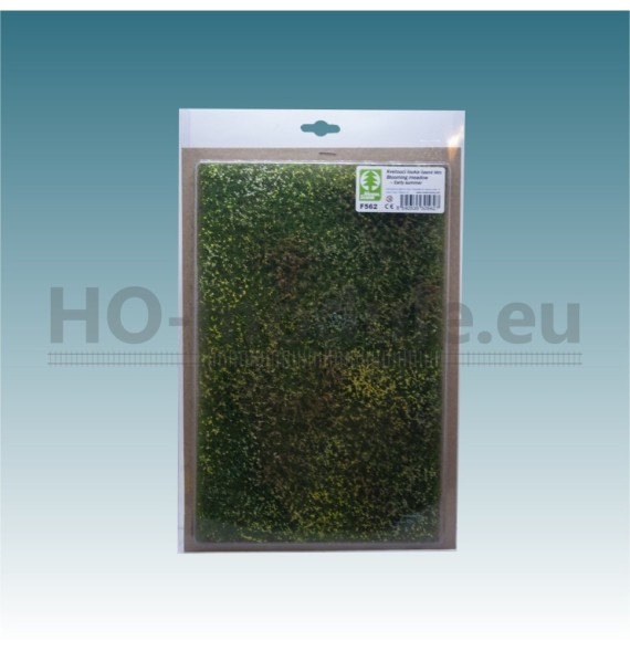 Kvetoucí louka – časné léto