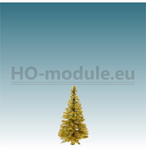 Modřín podzimní 40-60 mm