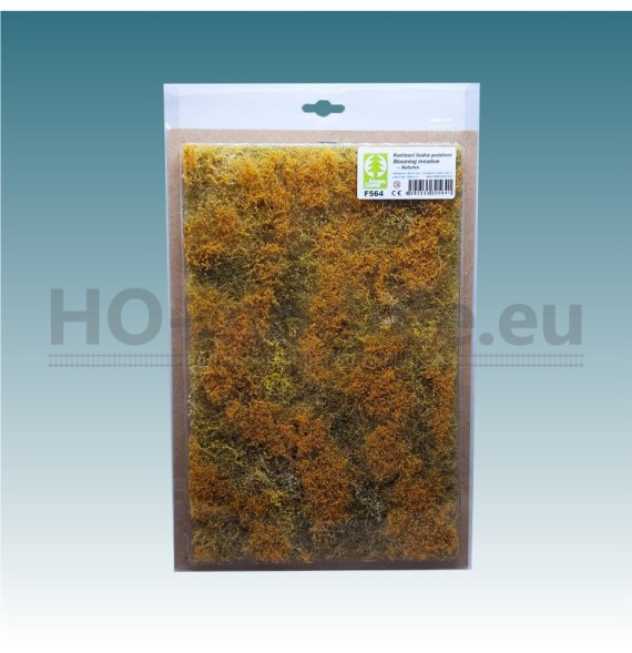 Kvetoucí louka – podzim