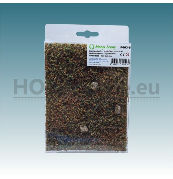 Lesní podrosty pozdní léto – minipack
