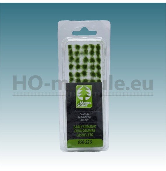 Drny malé časné léto