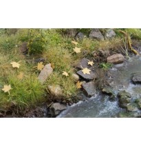 Stromové listí – javor – extra barvy