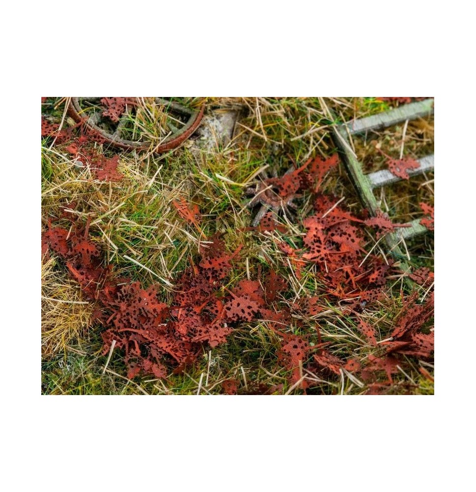 Stromové listí – javor – shnilé