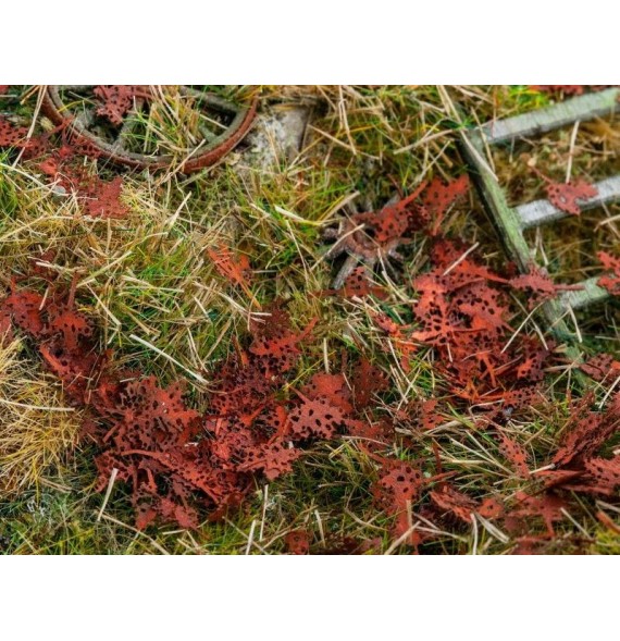 Stromové listí – javor – shnilé