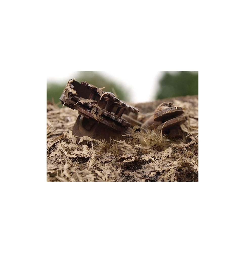 Stromové listí – dub – shnilé