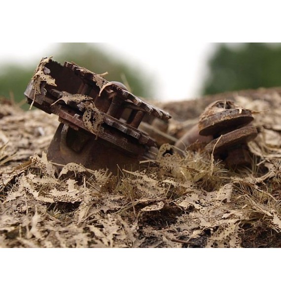 Stromové listí – dub – shnilé