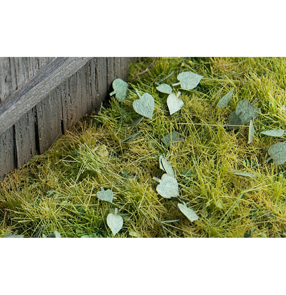 Stromové listí – lípa - zelená