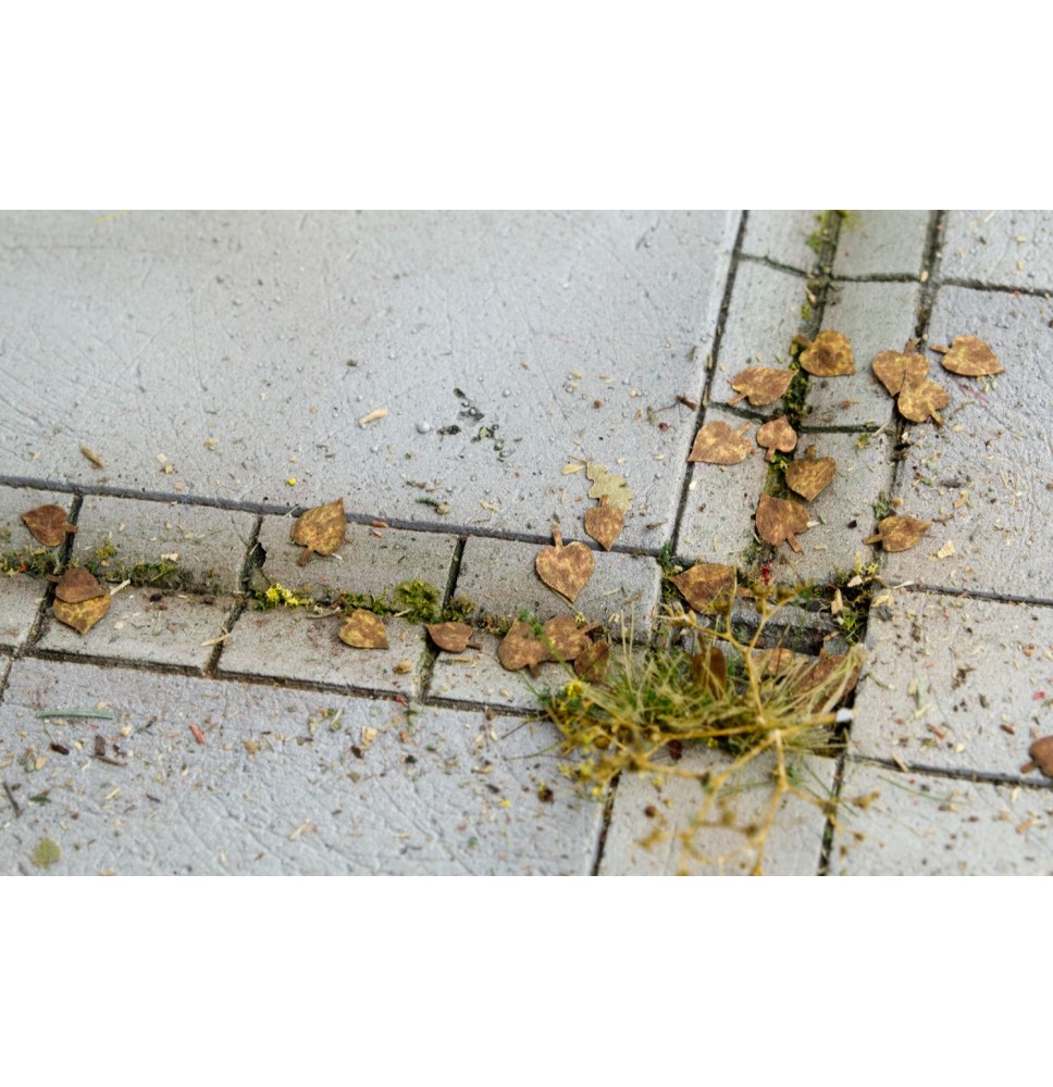 Stromové listí – lípa – extra barvy