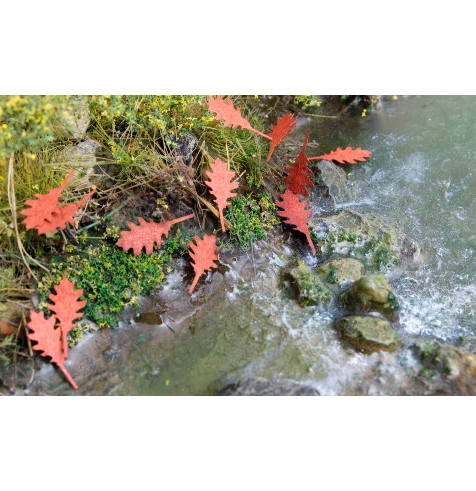 Stromové listí – dub červený – podzimní