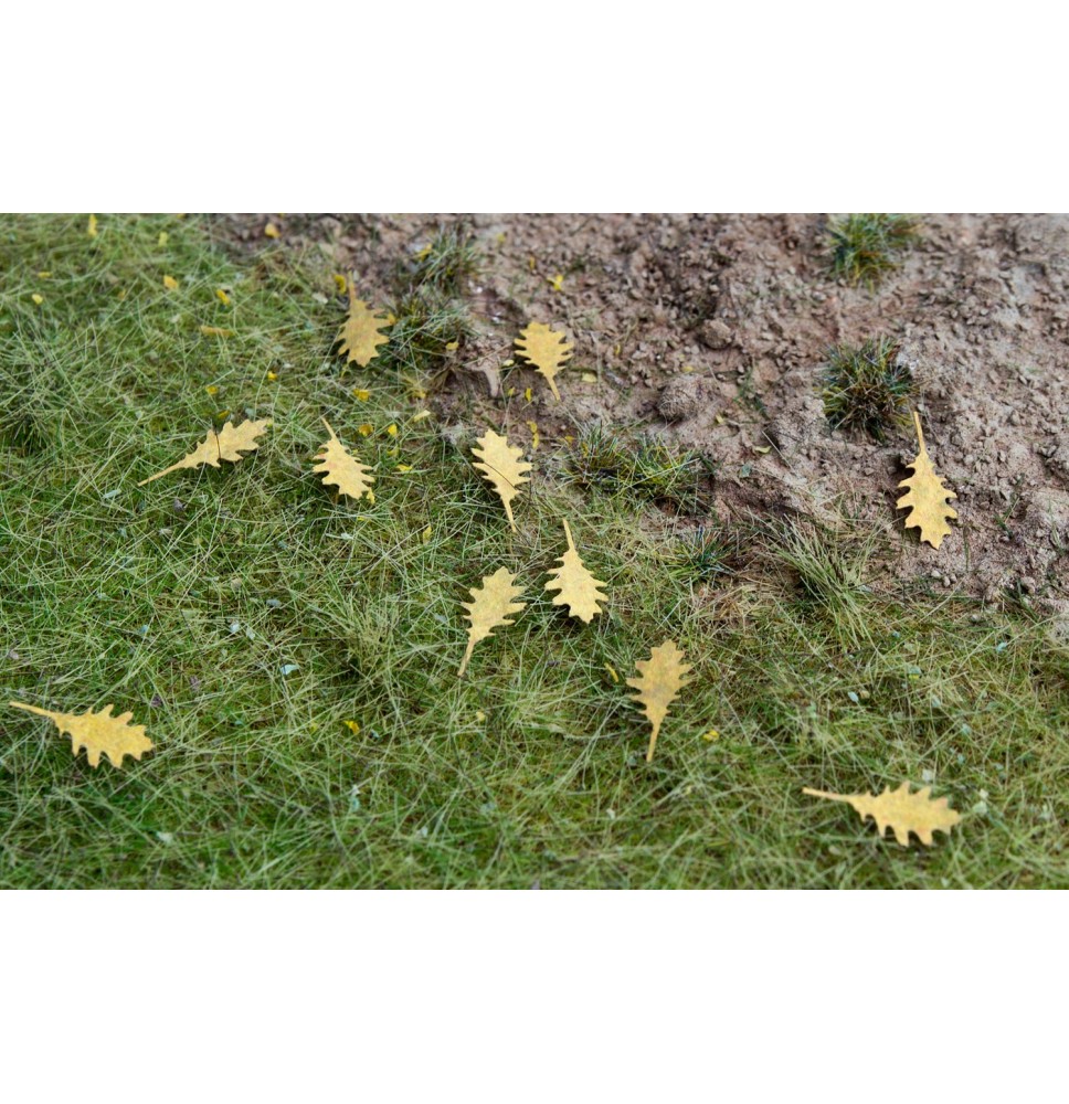 Stromové listí – dub červený – suché