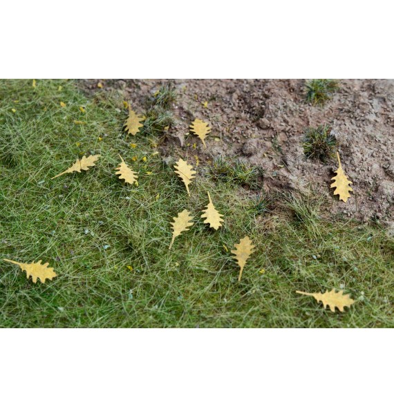 Stromové listí – dub červený – suché