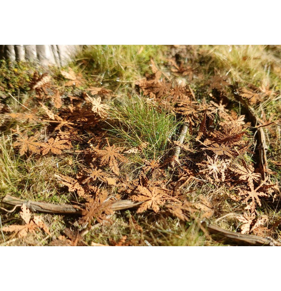 Stromové listí – kaštan – tlející