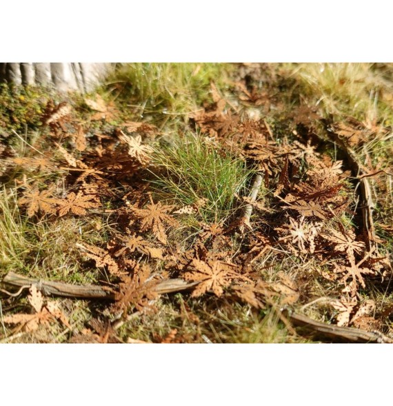 Stromové listí – kaštan – tlející