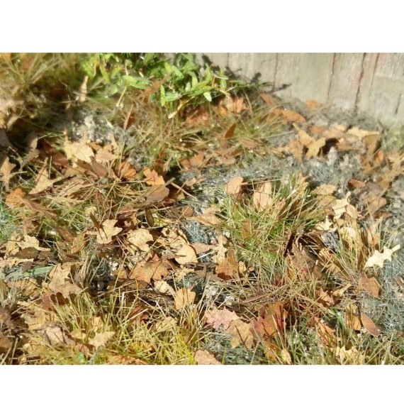 Stromové listí – evropská směs