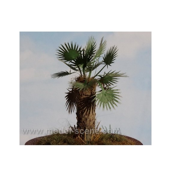 Stromové listí – palmové listy – suché II