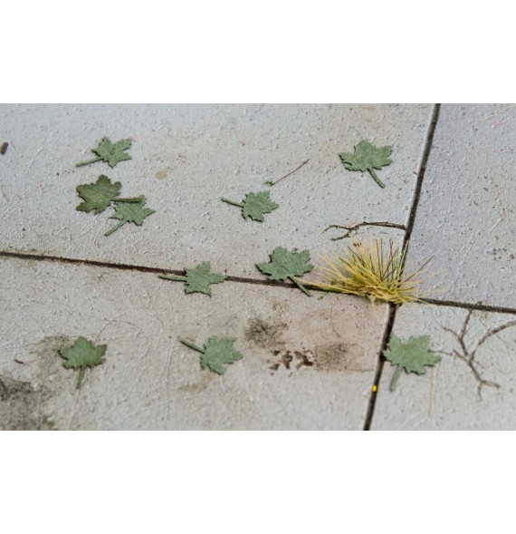 Stromové listí – javor - zelený