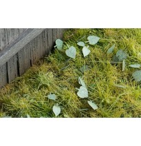 Stromové listí – lípa - zelená