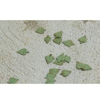 Stromové listí – bříza - zelená