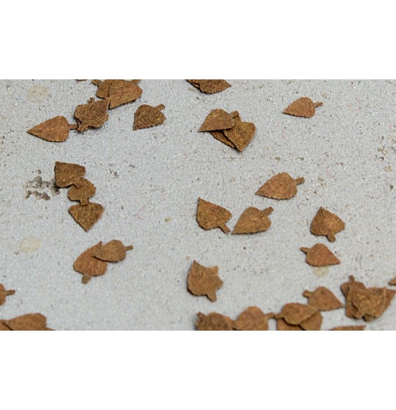 Stromové listí – bříza – extra barvy