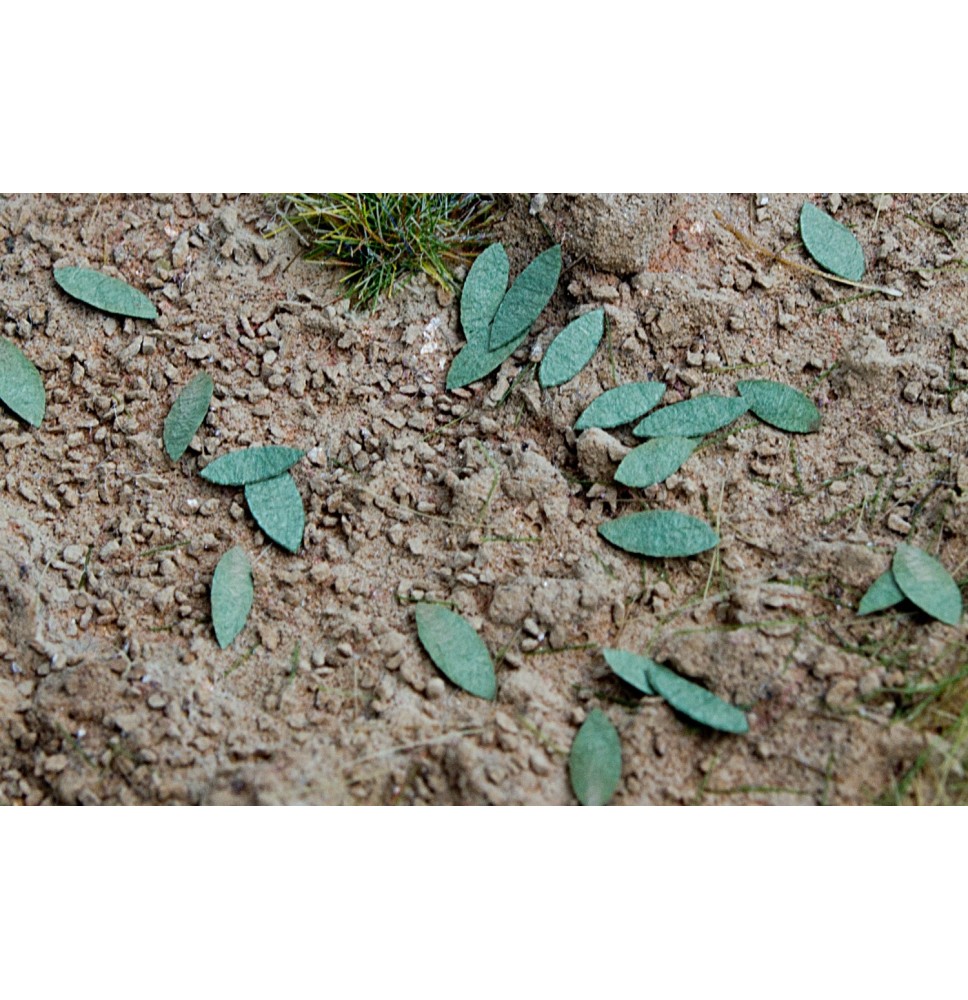 Stromové listí – univerzál - zelený