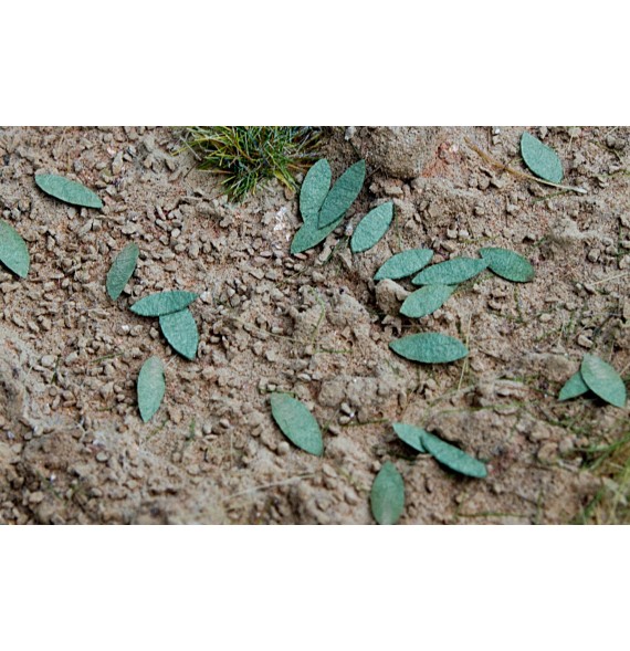 Stromové listí – univerzál - zelený