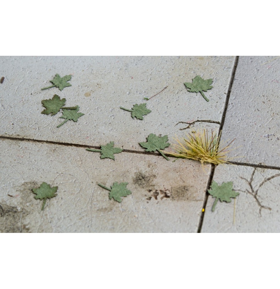 Stromové listí – javor - zelený