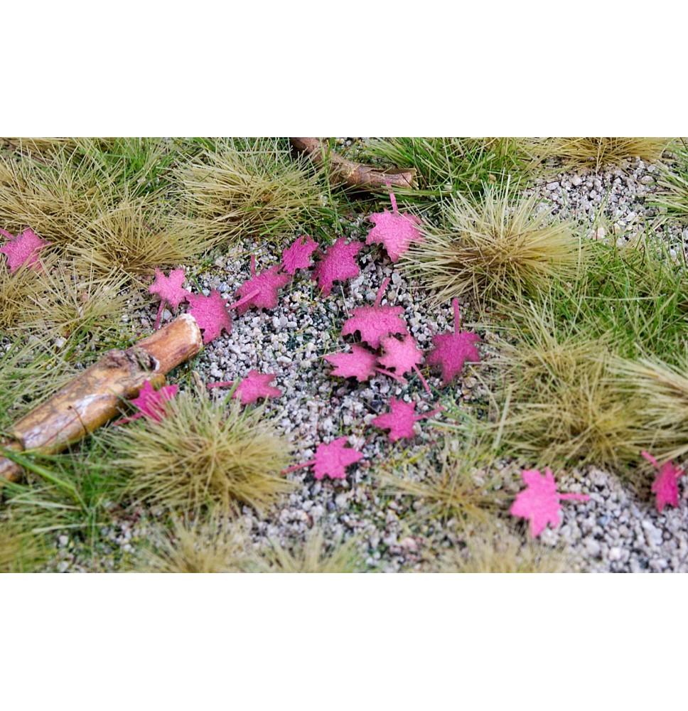 Stromové listí – javor – suché