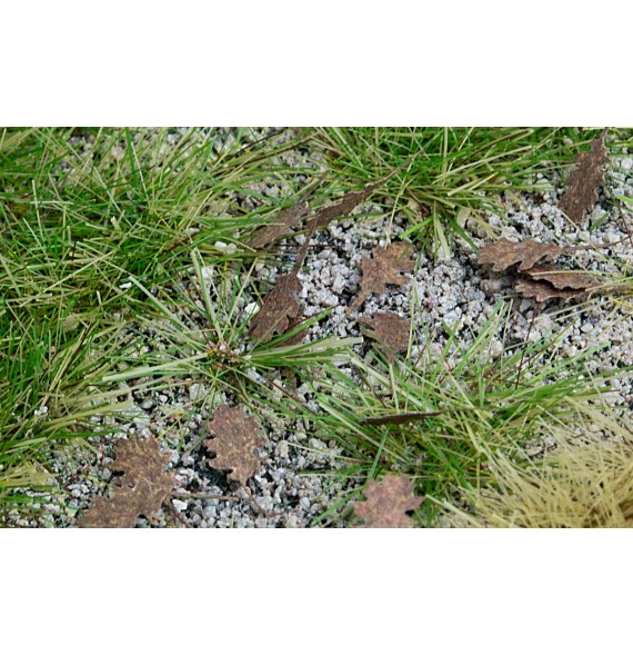 Stromové listí – dub – extra barvy