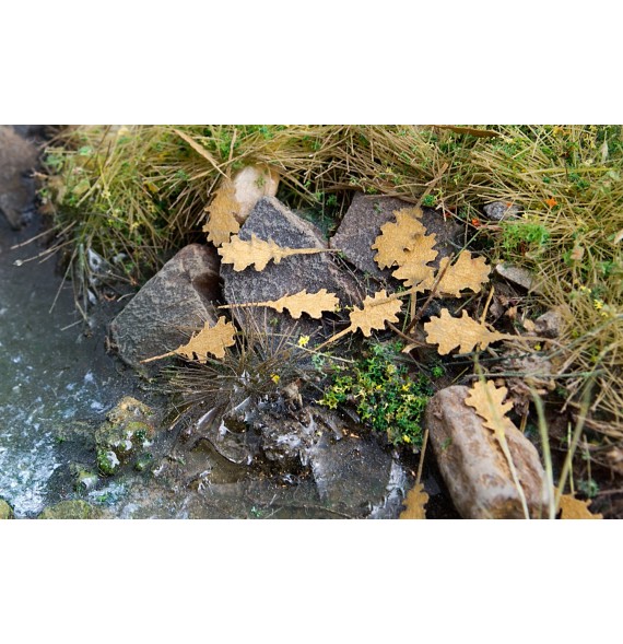 Stromové listí – dub – suché