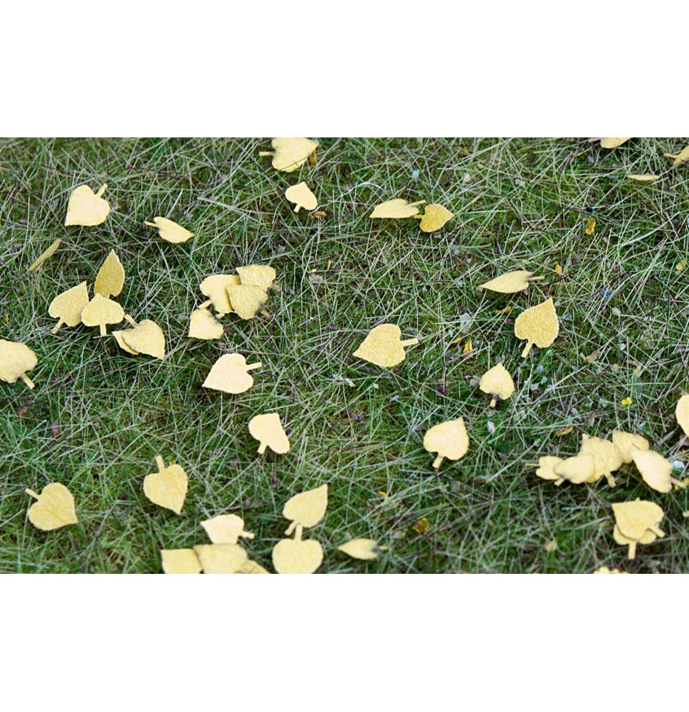 Stromové listí – lípa – suché