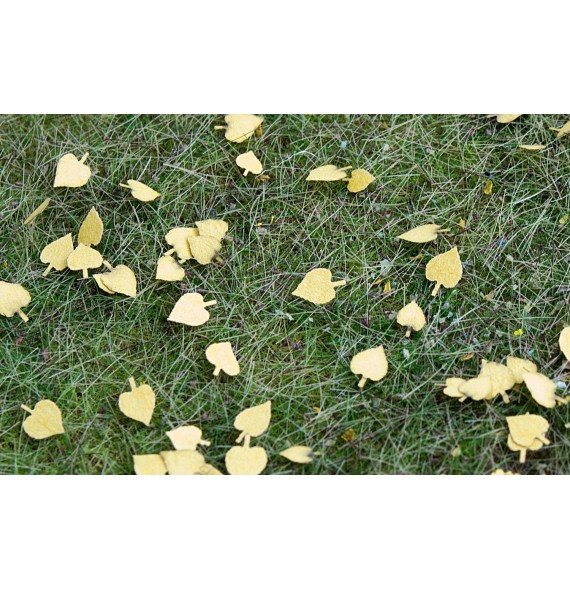 Stromové listí – lípa – suché