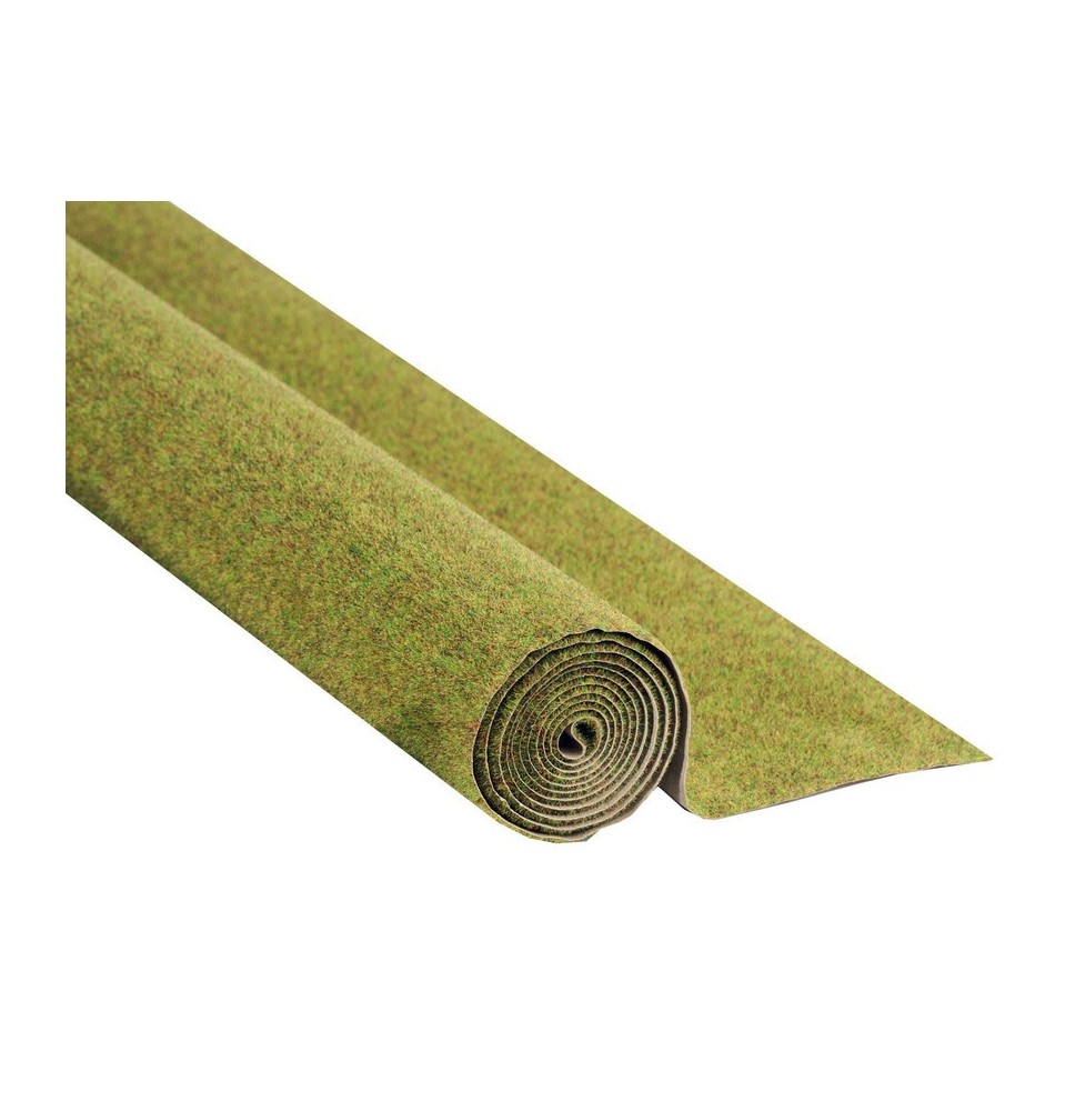 Travní koberec – letní louka