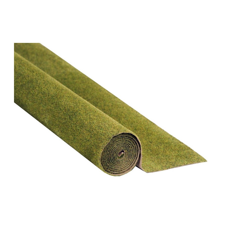 Travní koberec – louka