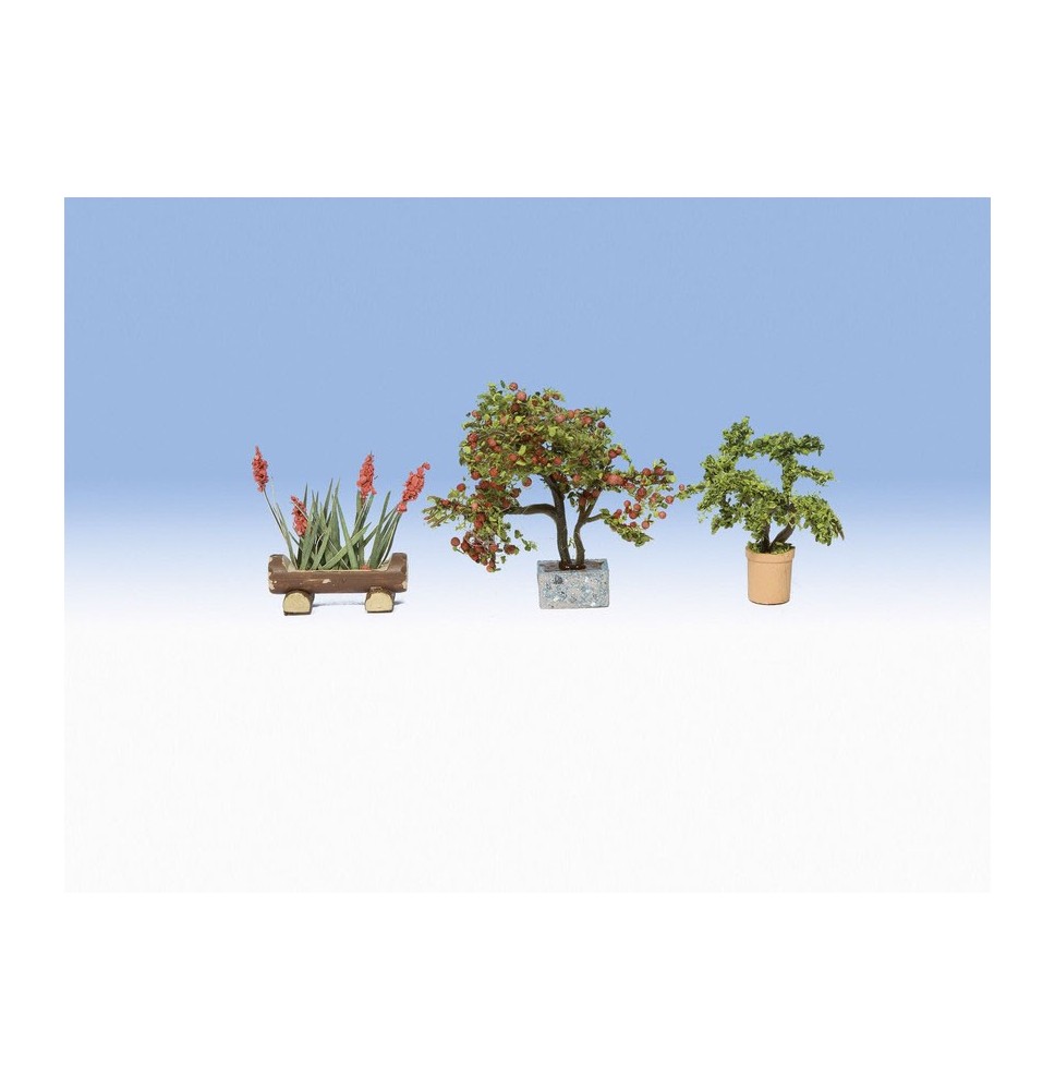 Okrasné květiny v květináčích