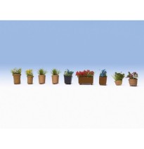 Květiny v květináčích