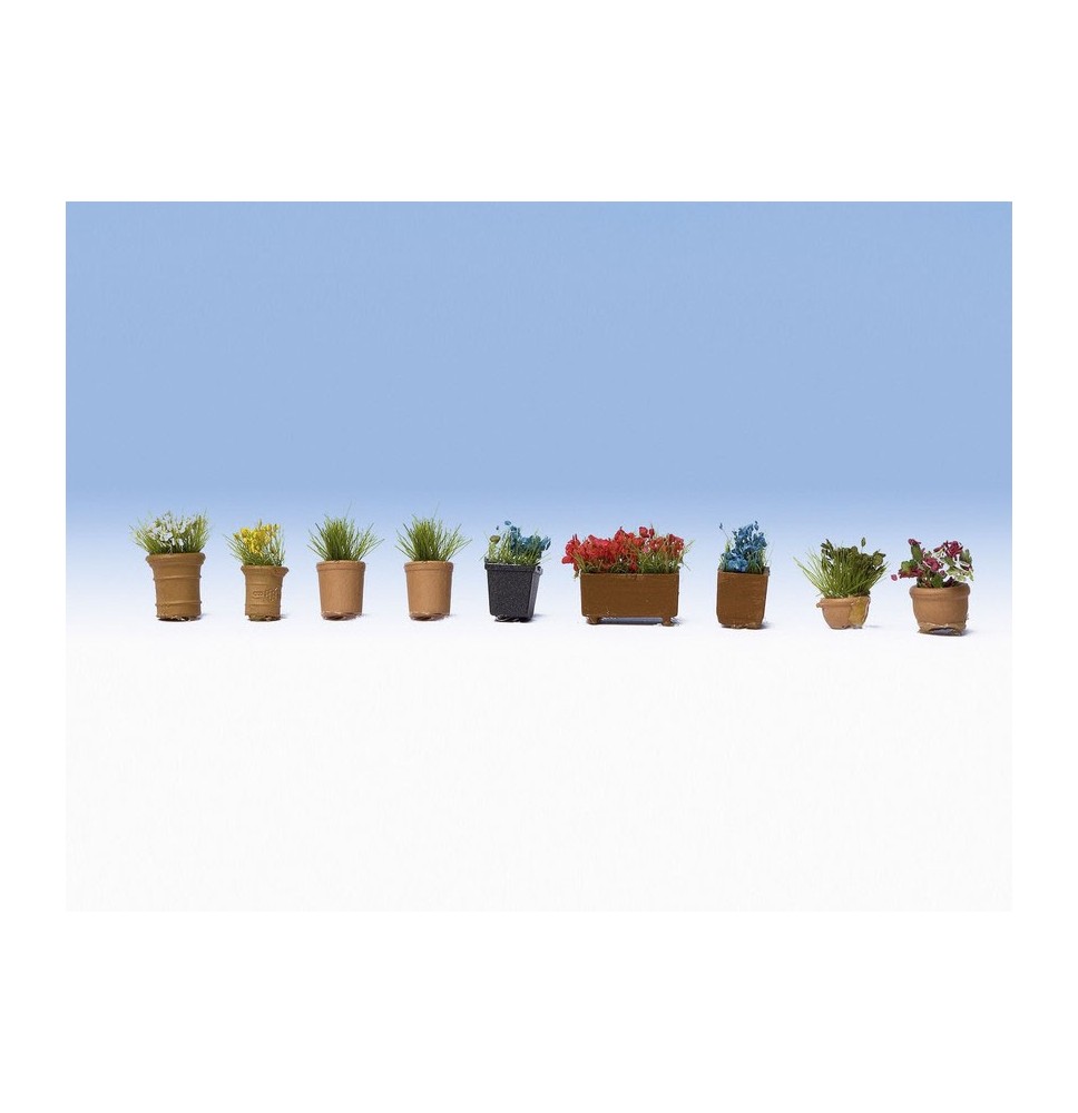 Květiny v květináčích