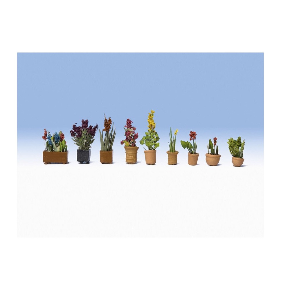 Okrasné květiny v květináčích