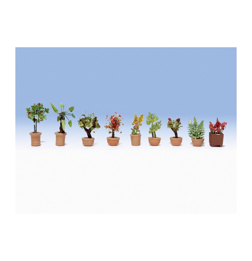 Okrasné květiny v květináčích