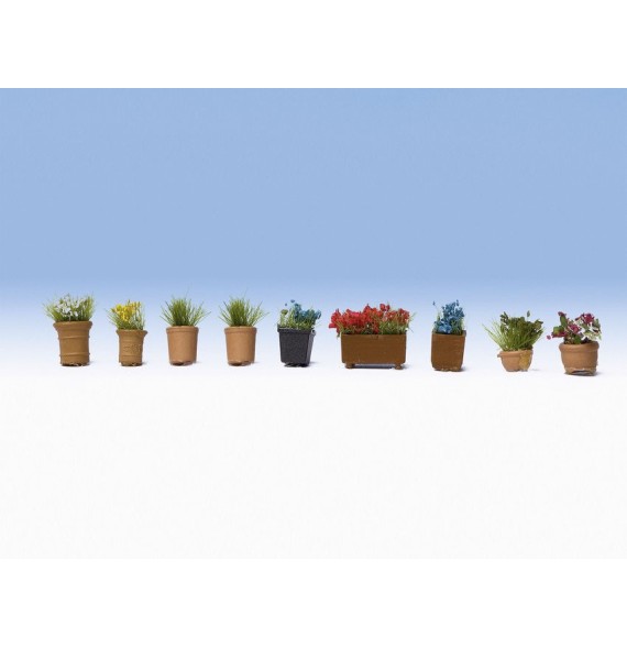 Květiny v květináčích