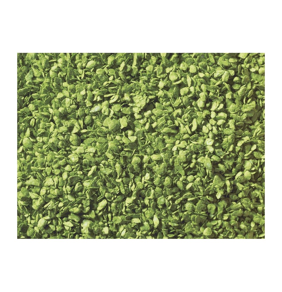 Listí – světle zelené