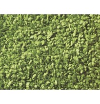 Listí – světle zelené