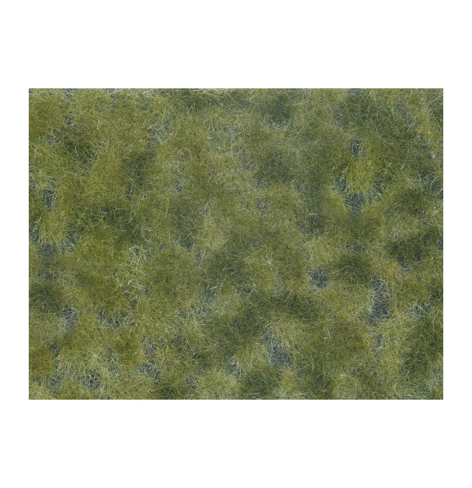 Foliáž – zelená