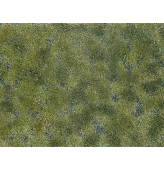 Foliáž – zelená