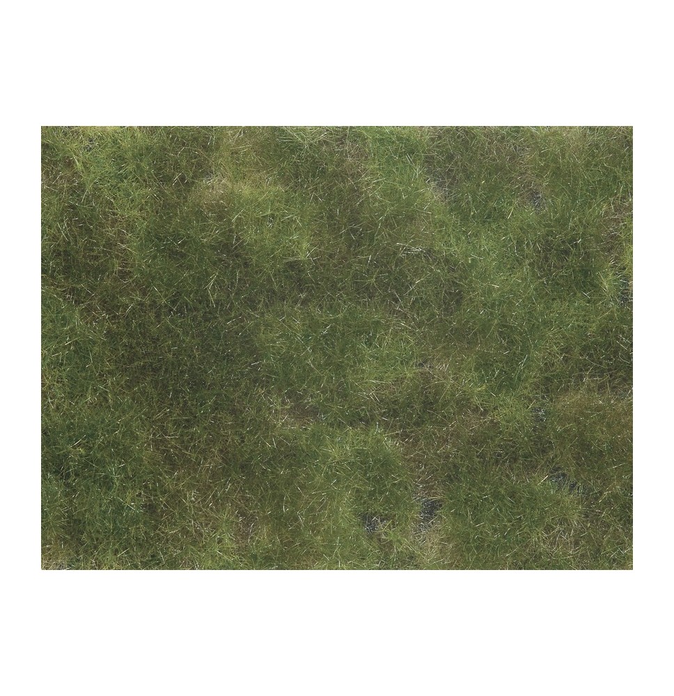 Foliáž – olivově zelená